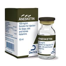Buy Anesketin Injection 1000mg/ml Online
